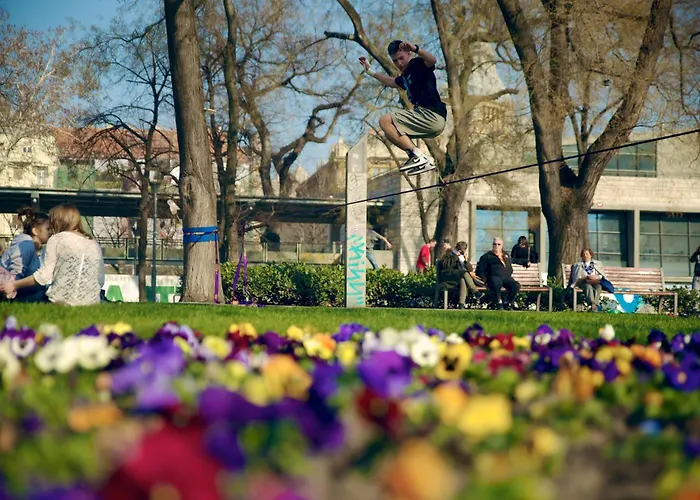 Gold Pearl 2 At St Stephen' S Basilica *